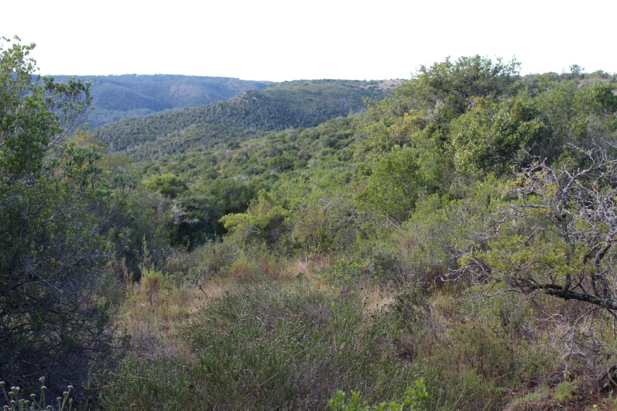 1 Bedroom Property for Sale in Bathurst Rural Eastern Cape